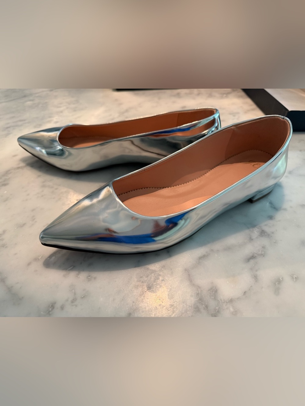 J. Crew Metallic Silver Pointed Ballet Flats